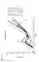 Fig. 24 - PD-1 antibodies