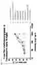 Fig. 53 - PD-1 antibodies