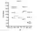 Fig. 31 - ANTIBODIES WITH MODIFIED ISOELECTRIC POINTS AND IMMUNOFILTERING