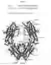Fig. 35 - ANTIBODIES WITH MODIFIED ISOELECTRIC POINTS AND IMMUNOFILTERING