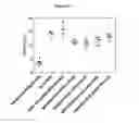 Fig. 46 - ANTIBODIES WITH MODIFIED ISOELECTRIC POINTS AND IMMUNOFILTERING
