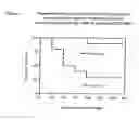 Fig. 06 - POLYPEPTIDES AND IMMUNIZING COMPOSITIONS CONTAINING GRAM POSITIVE POLYPEPTIDES AND METHODS OF USE