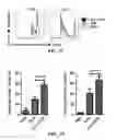 Fig. 07 - ANTI-CD19 COMPOSITIONS AND METHODS FOR TREATING CANCER