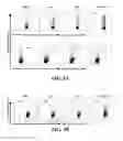 Fig. 10 - ANTI-CD19 COMPOSITIONS AND METHODS FOR TREATING CANCER