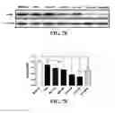 Fig. 17 - ANTI-CD19 COMPOSITIONS AND METHODS FOR TREATING CANCER
