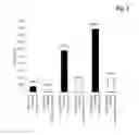 Fig. 02 - Sequence dependent aggregation