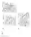 Fig. 08 - Anti-DR5 antibodies, polynucleotides and methods