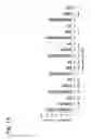 Fig. 20 - Anti-DR5 antibodies, polynucleotides and methods
