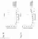 Fig. 22 - Anti-DR5 antibodies, polynucleotides and methods