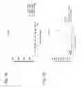 Fig. 23 - Anti-DR5 antibodies, polynucleotides and methods