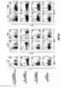 Fig. 06 - Nucleic acid encoding anti-OX40 antibodies