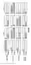 Fig. 07 - Nucleic acid encoding anti-OX40 antibodies