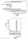 Fig. 08 - Nucleic acid encoding anti-OX40 antibodies