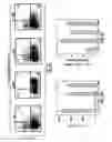 Fig. 10 - Nucleic acid encoding anti-OX40 antibodies