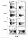 Fig. 12 - Nucleic acid encoding anti-OX40 antibodies