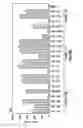Fig. 36 - Nucleic acid encoding anti-OX40 antibodies