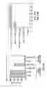 Fig. 38 - Nucleic acid encoding anti-OX40 antibodies