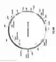 Fig. 56 - Nucleic acid encoding anti-OX40 antibodies