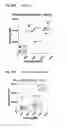 Fig. 22 - CD123 binding agents and uses thereof