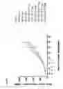 Fig. 43 - CD123 binding agents and uses thereof
