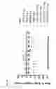 Fig. 44 - CD123 binding agents and uses thereof