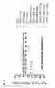 Fig. 46 - CD123 binding agents and uses thereof