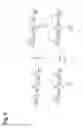 Fig. 10 - Bonding tissues and cross-linking proteins with naphthalimide compounds