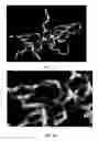 Fig. 04 - Synthetic polymers and methods of making and using the same