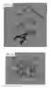 Fig. 06 - Synthetic polymers and methods of making and using the same
