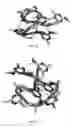 Fig. 07 - Synthetic polymers and methods of making and using the same