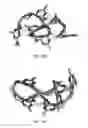 Fig. 09 - Synthetic polymers and methods of making and using the same