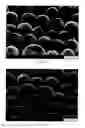 Fig. 02 - Organic polymeric particles, paper coating compositions, and methods