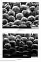 Fig. 04 - Organic polymeric particles, paper coating compositions, and methods