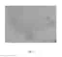 Fig. 02 - Emulsion-derived particles