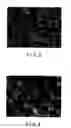 Fig. 03 - METHOD OF PRODUCING POLYURETHANE FOAM FOR COSMETIC APPLICATION AND POLYURETHANE FOAM FOR COSMETIC APPLICATION