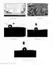 Fig. 05 - Polysaccharide aerogel