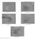 Fig. 10 - Polysaccharide aerogel