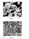 Fig. 03 - Reaction mixture, porous particles and methods of making