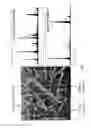 Fig. 09 - Long wave infrared transparent window and coating materials