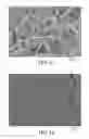 Fig. 07 - Sintered abrasive particles, method of making the same, and abrasive articles including the same