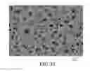 Fig. 08 - Sintered abrasive particles, method of making the same, and abrasive articles including the same