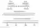 Fig. 01 - Monodisperse lubricant including multidentate perfluoropolyether structures