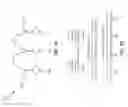 Fig. 03 - Monodisperse lubricant including multidentate perfluoropolyether structures