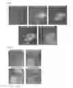 Fig. 06 - SYSTEMS AND METHODS FOR SINGLE CELL ISOLATION AND ANALYSIS