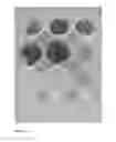 Fig. 09 - Bioprotection using strains
