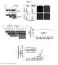 Fig. 08 - COMPOSITIONS AND METHODS FOR PRECISE PATTERNING OF POSTERIOR NEUROECTODERM FROM HUMAN PLURIPOTENT STEM CELLS