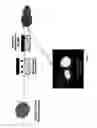 Fig. 16 - Methods for compact aggregation of dermal cells