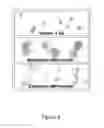 Fig. 10 - Human extensively self-renewing erythroblasts (ESRE)