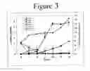 Fig. 06 - DIFFERENTIATION OF ADIPOSE STROMAL CELLS INTO OSTEOBLASTS AND USES THEREOF