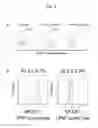 Fig. 06 - Method for inducing alveolar epithelial progenitor cells